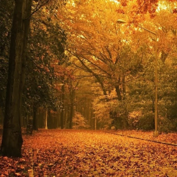 Meet your Posher, Michelle - Picture 1 of 1